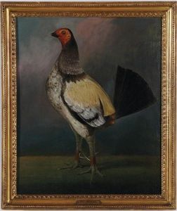 Old English Game Fowl