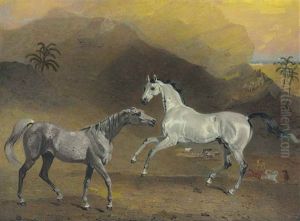 The Malcolm Arabian by Benjamin Marshall