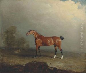 Musk, A Bay Hunter In A Landscape Musk, A Bay Hunter In A Landscape