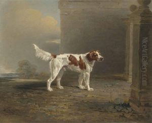 A White Setter In A Landscape By A Gateway