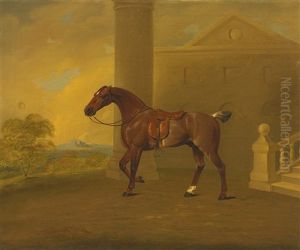 Roan Hack by Benjamin Marshall