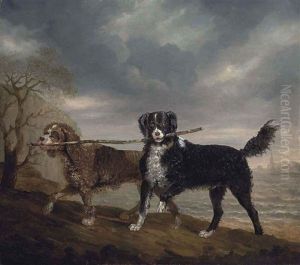 Mrs. Orby Hunter's Spaniels, "diver" And "shuckleback", By The Sea