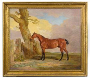 "butcher's Boy," A Bay Hunter Once Owned By R. Lambton, Esq., Master Of The Sedgefield Hunt
