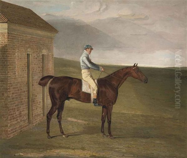 Burleigh, A Chestnut Racehorse, With Sam Chifney, At Newmarket - view 1