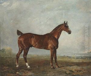 A Chesnut Hunter In A Landscape
