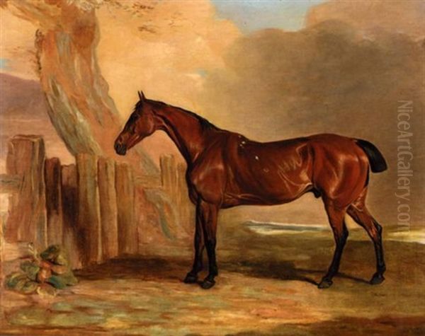 Old Favourite, A Bay Hunter In A Landscape - view 1