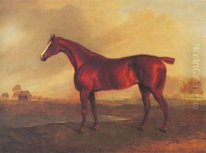 "lady," A Trotting Mare In A Landscape