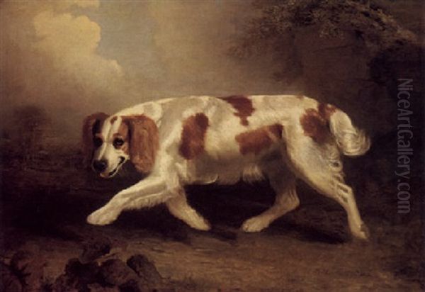 A Spaniel In A Landscape - view 1