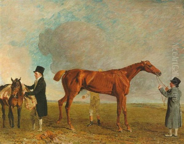 Mr. Thornhill's "sailor" Being Rubbed Down At Epsom - view 1