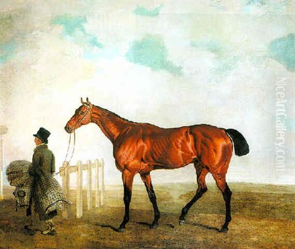 "emilius" With His Groom At Newmarket - view 1