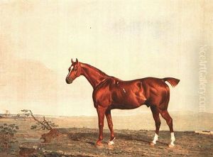 Lord Deerhurst's Favourite Hunter, "judgement"