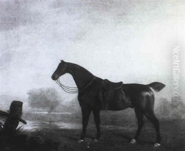 A Saddled Dark Bay Hunter In A River Landscape - view 1