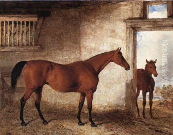 A Bay Mare With Her Foal In A Stable - view 1