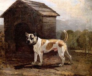 The Bull Terrier "dustman"