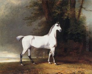 A Grey Hunter, The Property Of Lord Lonsdale, In A Landscape A Grey Hunter, The Property Of Lord Lonsdale, In A Landscape