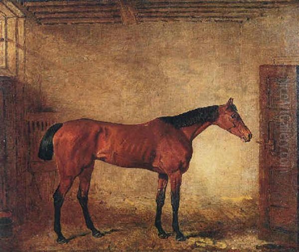 "babel" - Winner Of The Oaks In 1826 - In A Stable - view 1