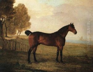 The Chestnut Hunter Berry Brown In A Field By An Estuary, With Sailing Ships In The Distance