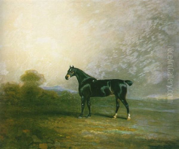 "bembo," A Favorite Hunter Of Charles Shuttlesworth, Esq. - view 1
