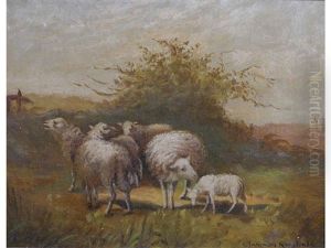 Sheep In Landscape Sheep In Landscape