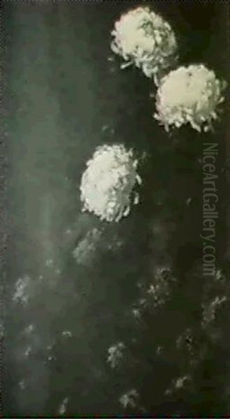 Chrysanthemums - view 1