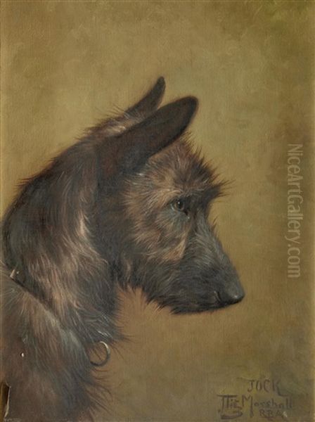 Portrait Of Jock - view 1