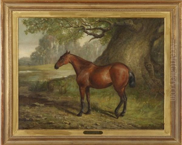 Lady Bountiful, Equestrian Portrait - view 1
