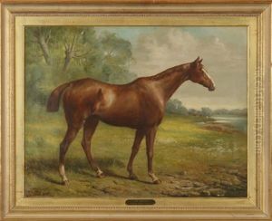 Tom Boy, Equestrian Portrait