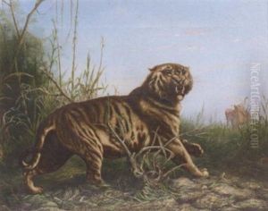 At Bay, A Sabre Tooth Tiger
