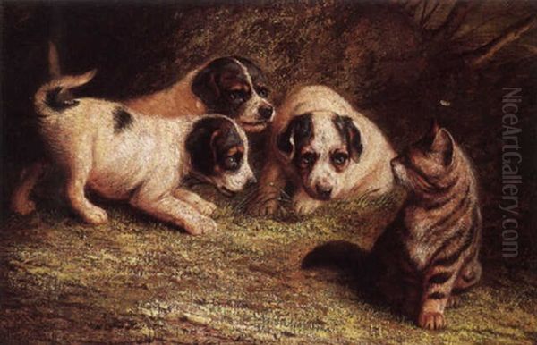 Puppies And Cat - view 1