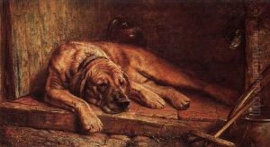 Dog Days by John Fitz Marshall
