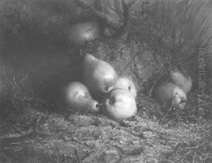 Still Life With Pears