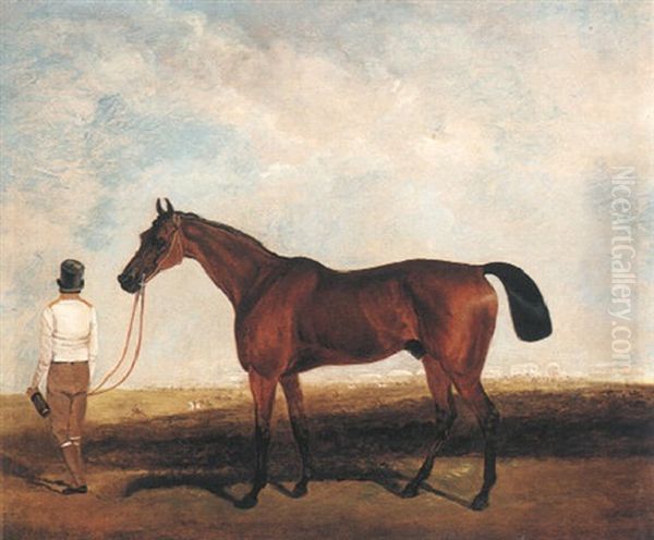A Bay Racehorse Held By A Groom - view 1