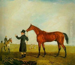 Colonel John Peel's Racehorse, "archibald" Held By His Trainer, With A. Pavis, His Jockey