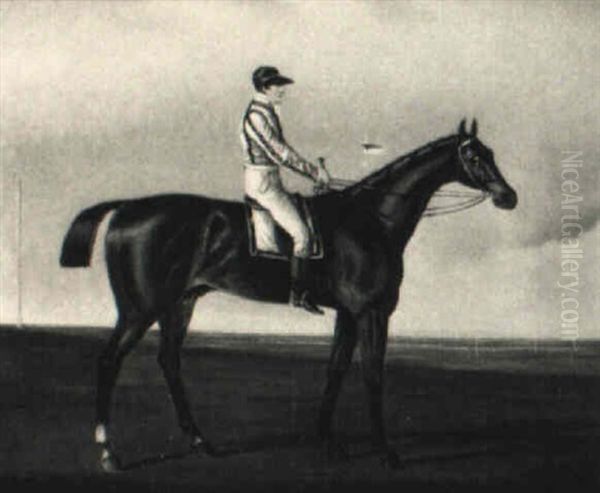 The Racehorse Albert With Jockey Up - view 1