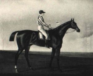 The Racehorse Albert With Jockey Up