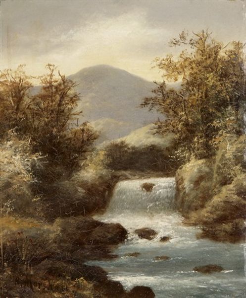Wildbach - view 1