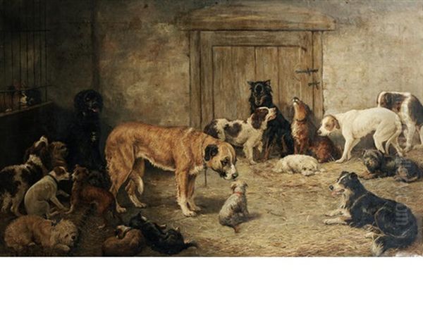 Temporary Lodgings Down At The Dogs Home - view 1