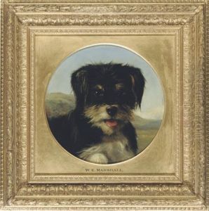The Head Of A Terrier