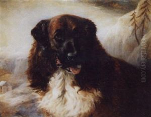 The Saint Bernard Tell The Saint Bernard Tell