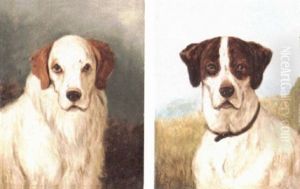 Retriever Retriever