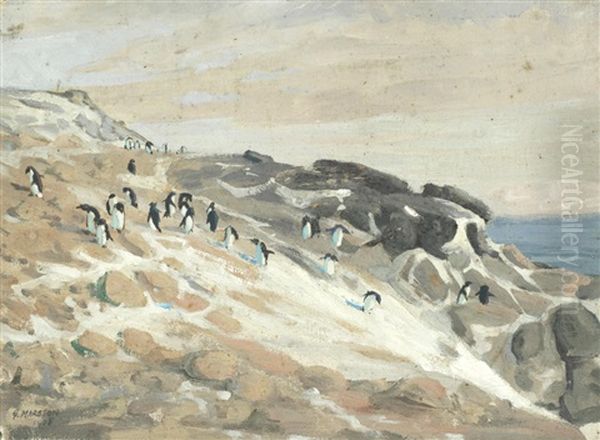 Antarctic Penguins - view 1