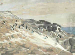 Antarctic Penguins Antarctic Penguins