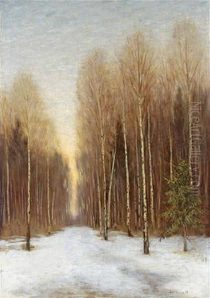 Winterwald Bei Sonnenuntergang - view 1