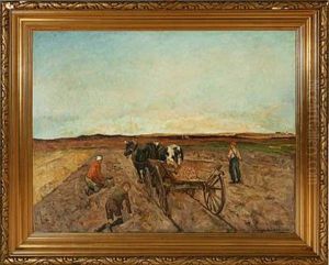 Potato Harvest In Korup, Funen Island
