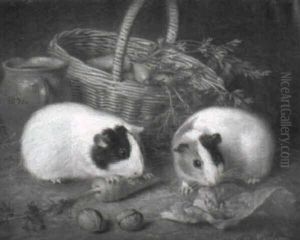 Stilleben Mit Einem Bastkorb Und Zwei Meerschweinchen