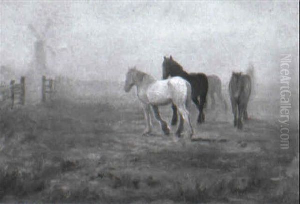 Horses In Morning Sunlight - view 1