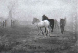 Horses In Morning Sunlight by Willy Martens