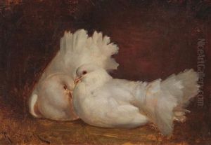 Palomas by Ricardo Marti Aguilo