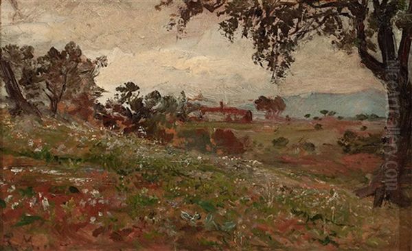 Paisaje - view 1