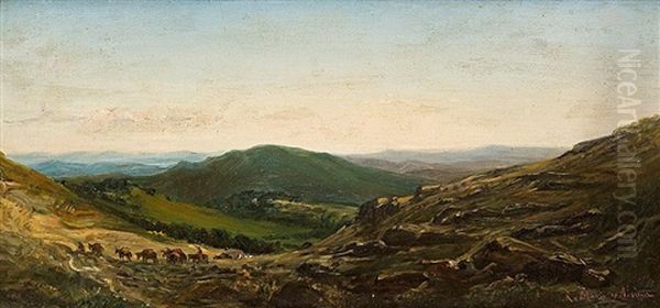 Paisaje - view 1